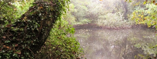 Nantes-Habitat_AlterreEco