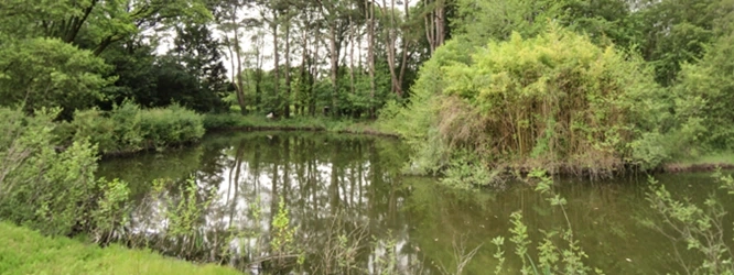 Saint-Coloban_ALTERRE-ECO